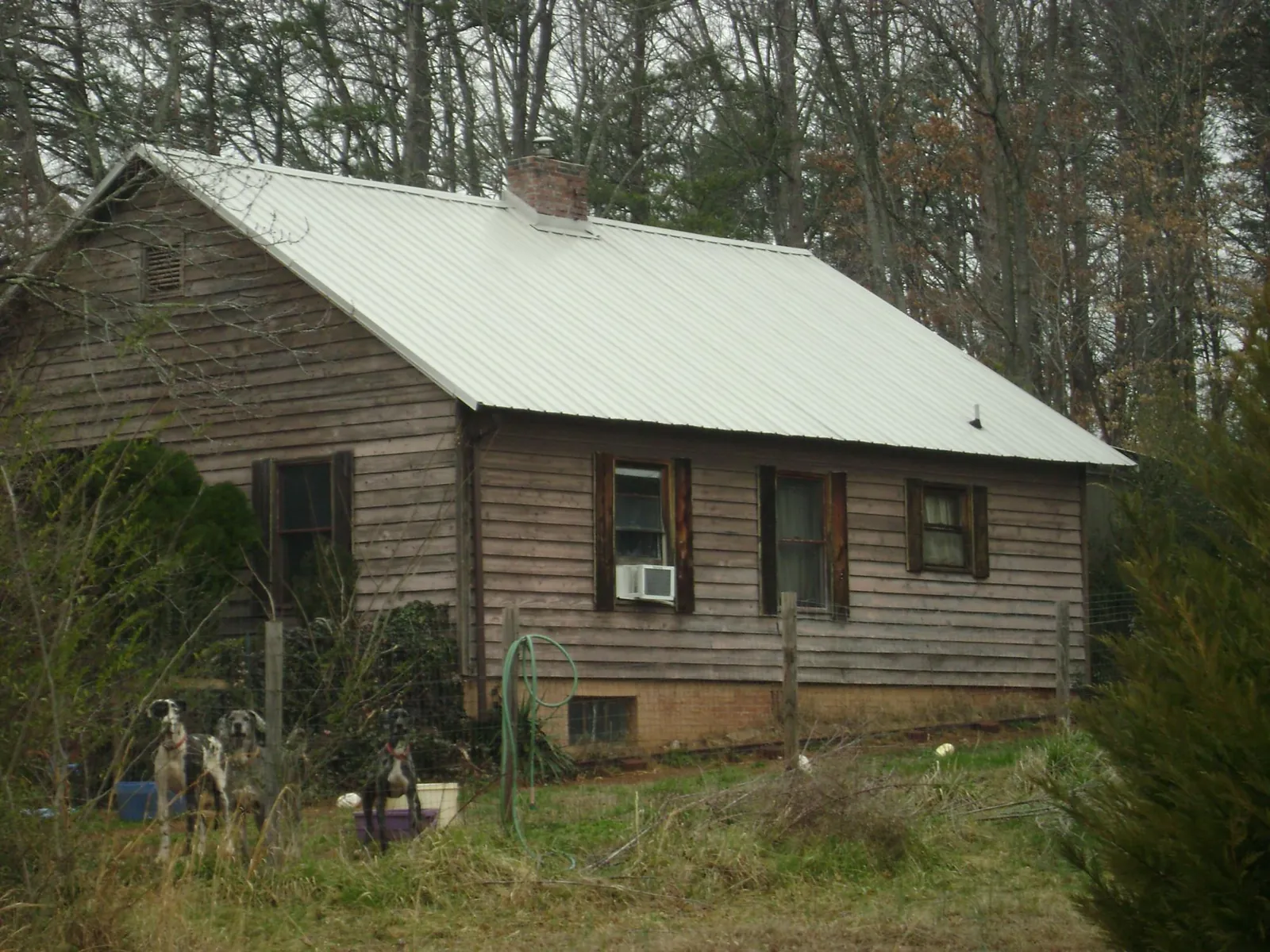 White metal roof on an old wood sided farmhouse, from a Asphalt Shingle Roof Repair job in Blackfoot